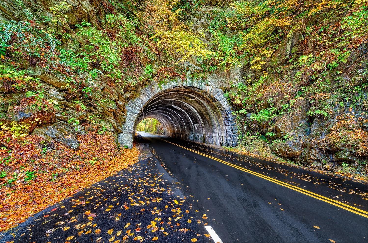 Вілла Smoky Mountain Gem Гатлінбург Екстер'єр фото
