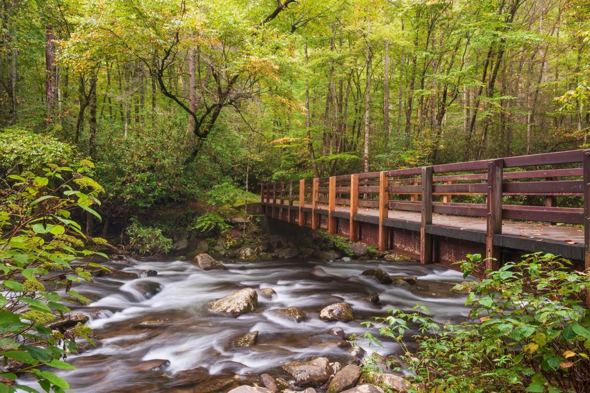 Вілла Smoky Mountain Gem Гатлінбург Екстер'єр фото